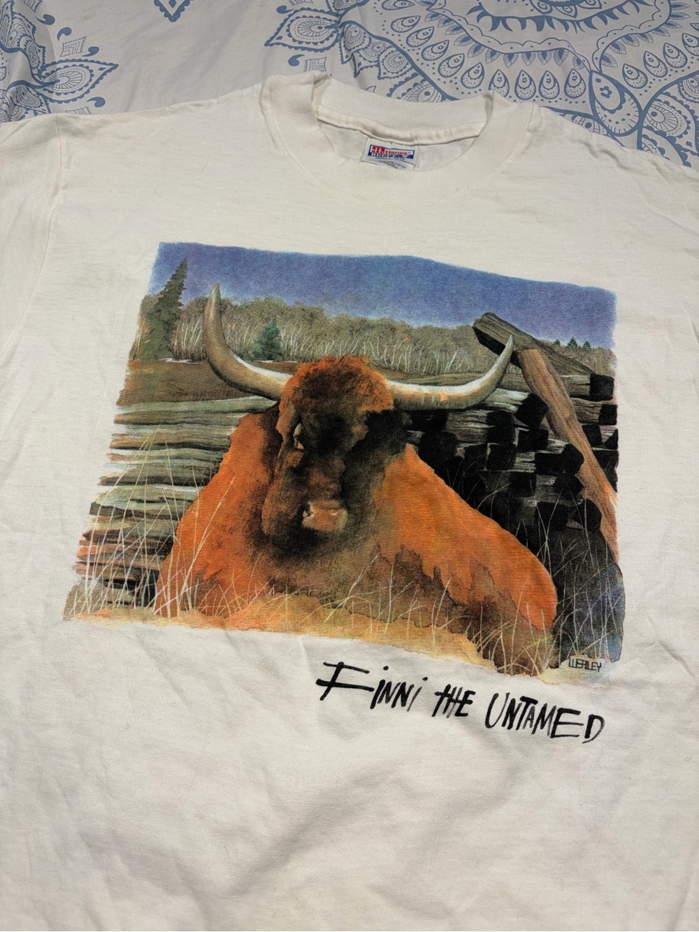 Vintage Bull Shirt